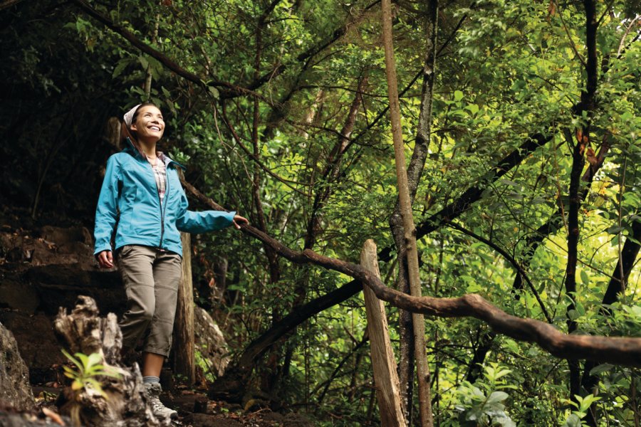 Hiking La Palma, Canary Islands. Woman hiker enjoying Los Tilos Laurel Rain Forest on La Palma. Maridav