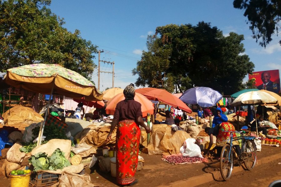 Marché de rue. Sophie ROCHERIEUX