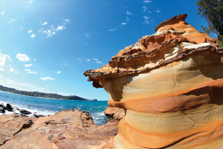 Avoca Beach. TonyFeder - iStockphoto