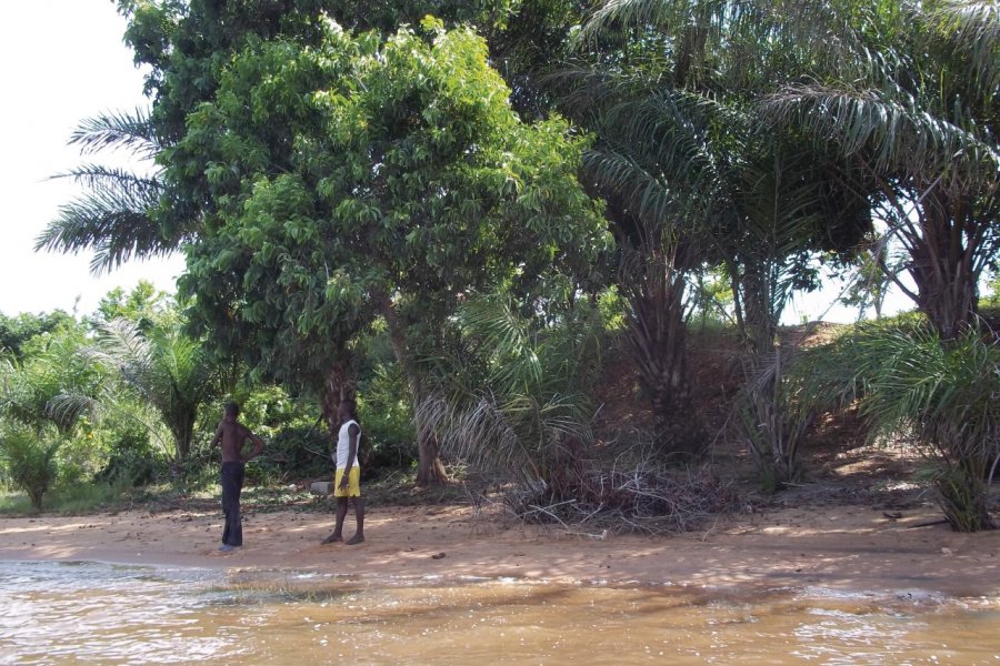 Scène et végétation depuis une piroque voguant sur le mythique lac Togo. Talatah FAVREAU