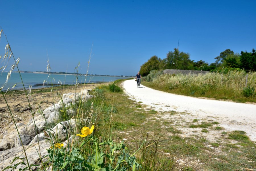 Vélo sur l'île-d'Aix. Bernard 63 - stock.adobe.com