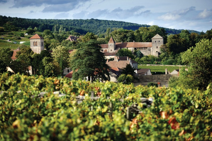 Château de Gevrey Chambertin. BIVB Michel Joly.