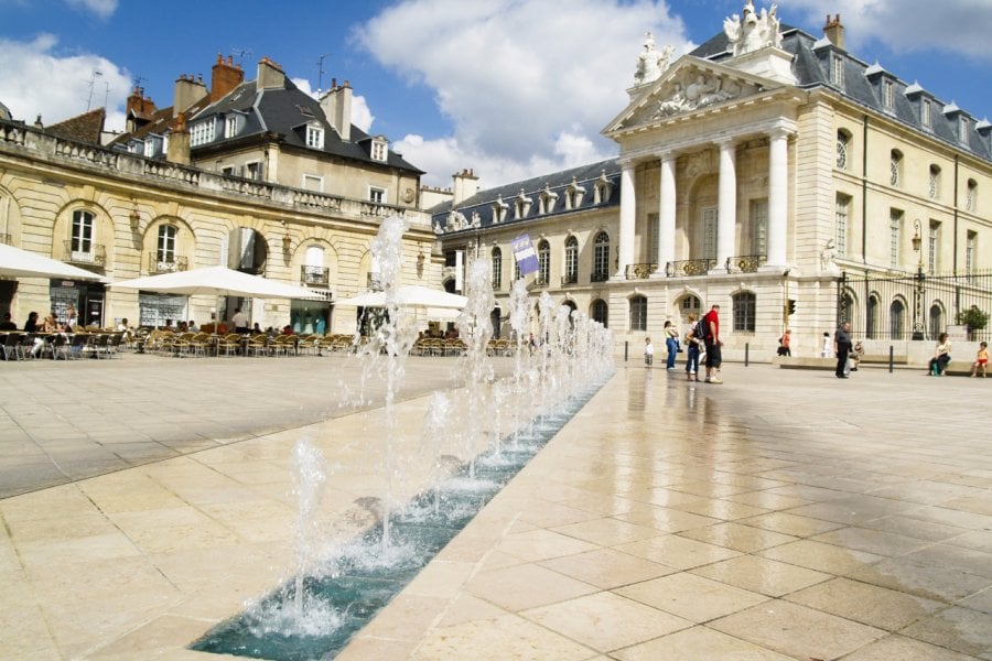 Dans le centre de Dijon. Doin Oakenhelm / Shutterstock.com