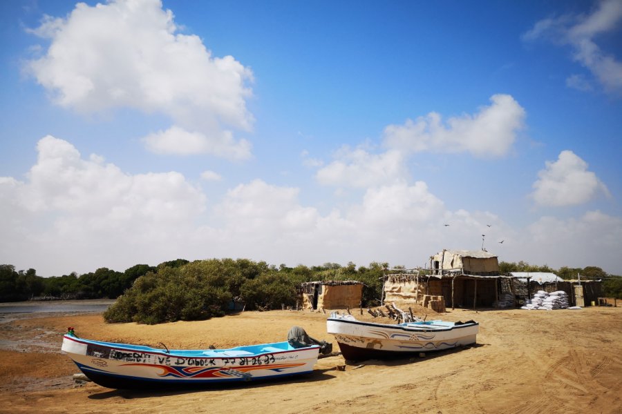 Mangrove et barques de pêcheurs à Godoria. Sophie ROCHERIEUX