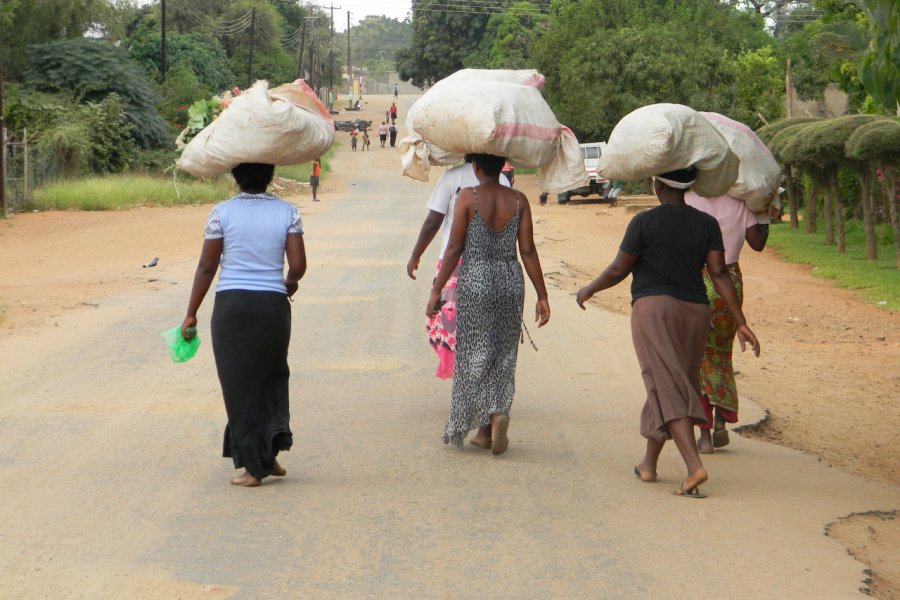 Femmes de Chiredzi. CECIL BO DZWOWA - Shutterstock.com