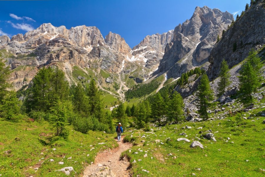 Mont Capanne, près de Marciana. Antonio S - Shutterstock.com