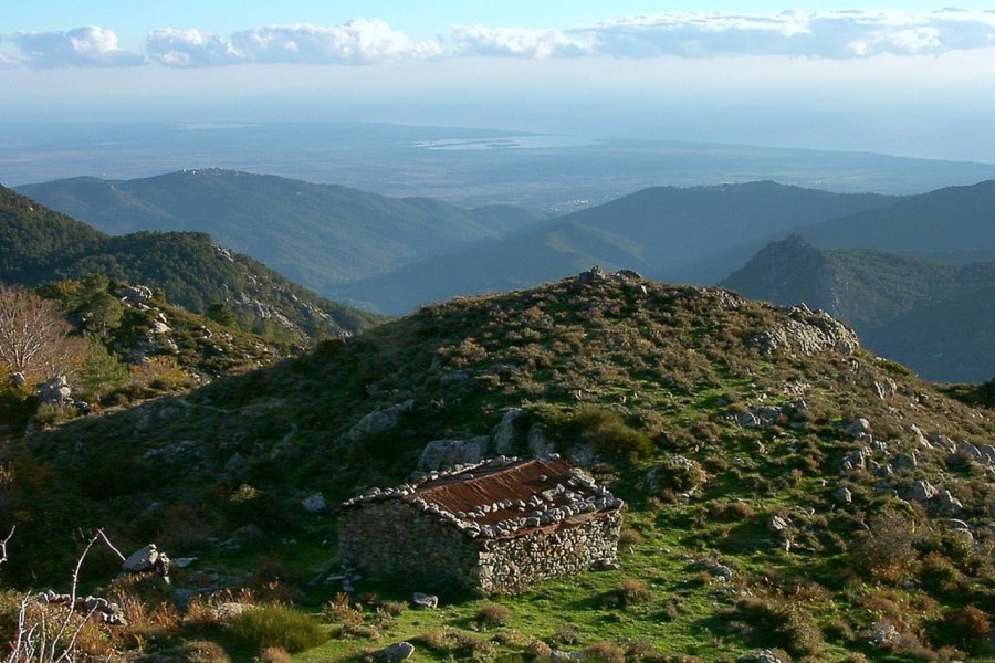 Bergerie de Scanciatella Xavier Bonnin