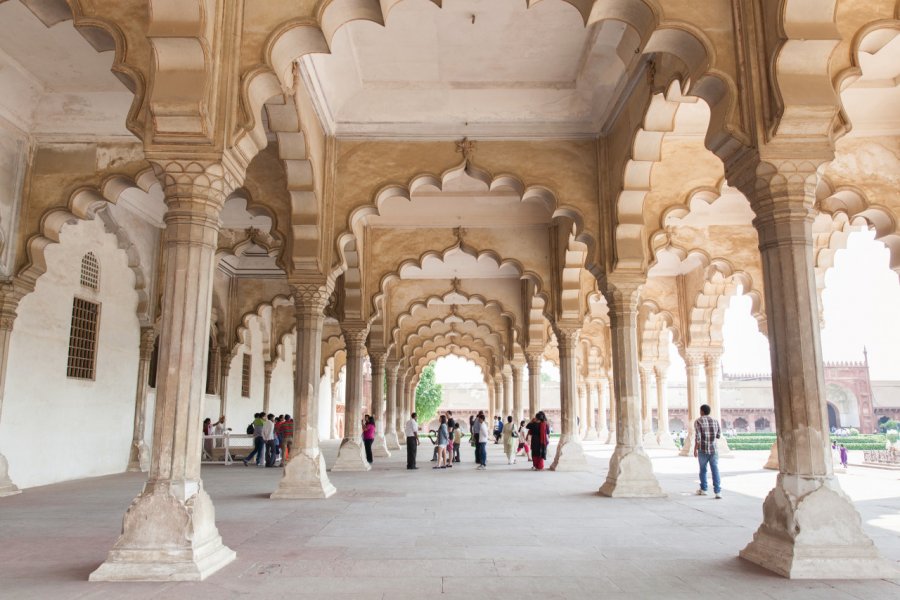 Fort d'Agra. ErmakovaElena - iStockphoto.com