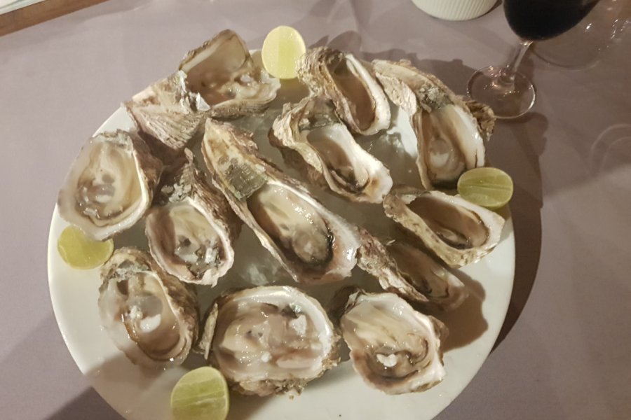 Huîtres sauvages de Fort Dauphin. Laurent BOSCHERO