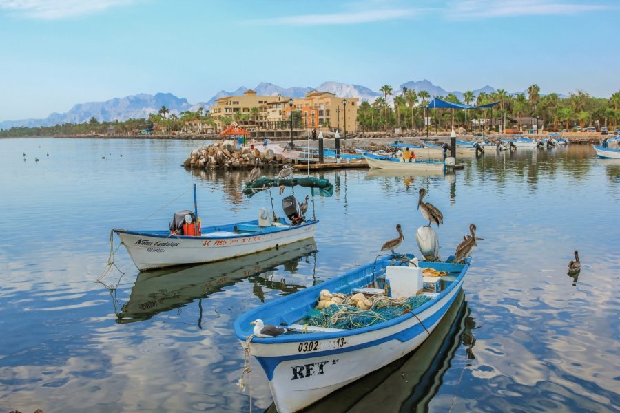 Port de Loreto. - ©bennymarty - iStockphoto