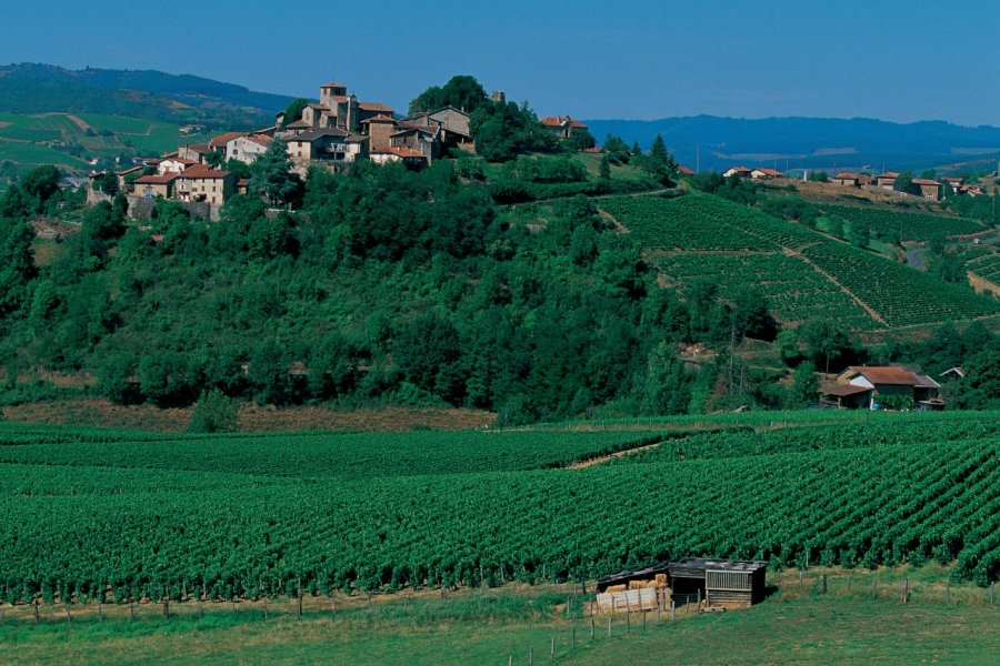 Le village de Ternand Arthur LEROY - Iconotec