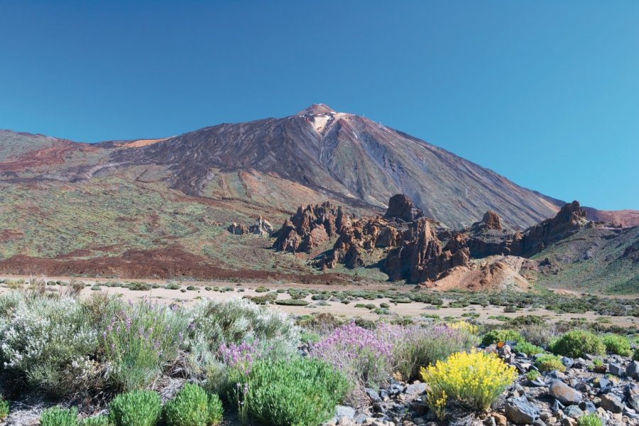 Parque nacional del Teide et pic du Teide. (© Author's Image))