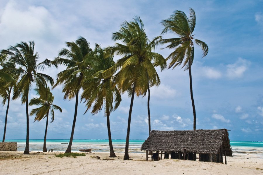 Plage de Jambiani luisapuccini - Fotolia