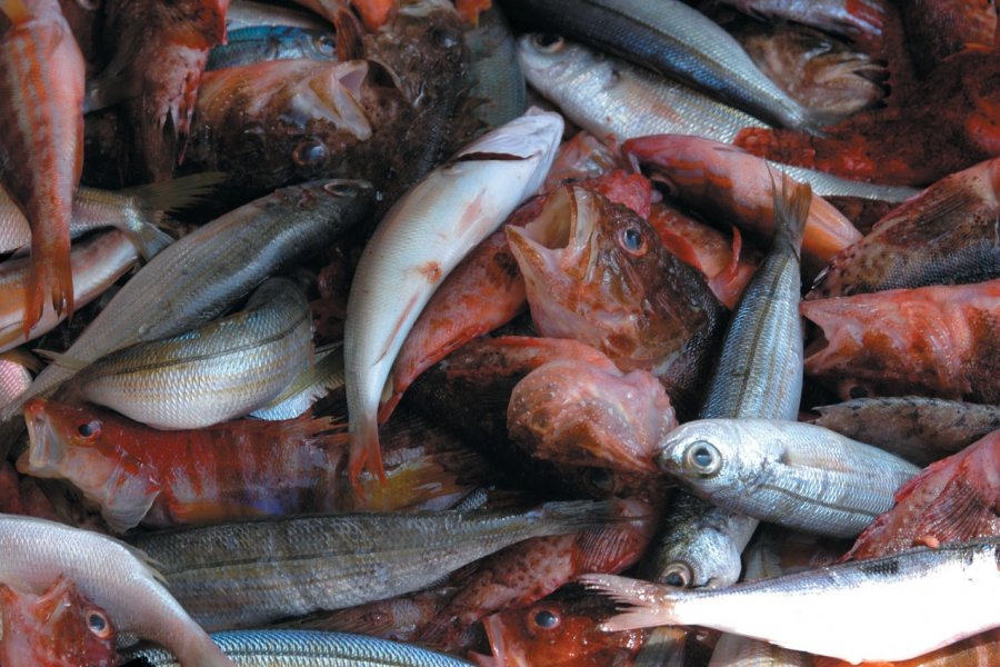 Étal de poissonnier au marché de Marsala. Picsofitalia.com