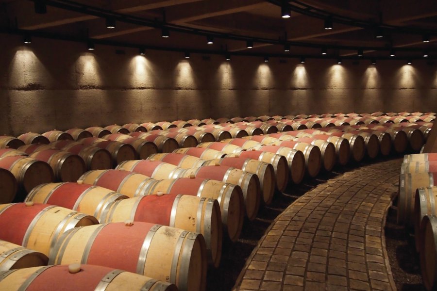 Cave de bodega. Maxime DRAY