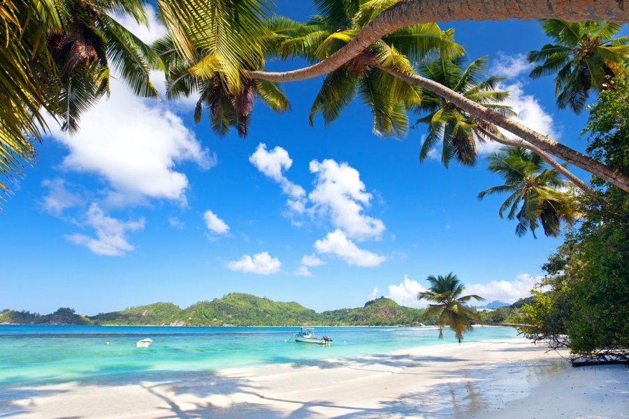 Sur la plage d'Anse Takamaka. Jenny Sturm / Shutterstock.com