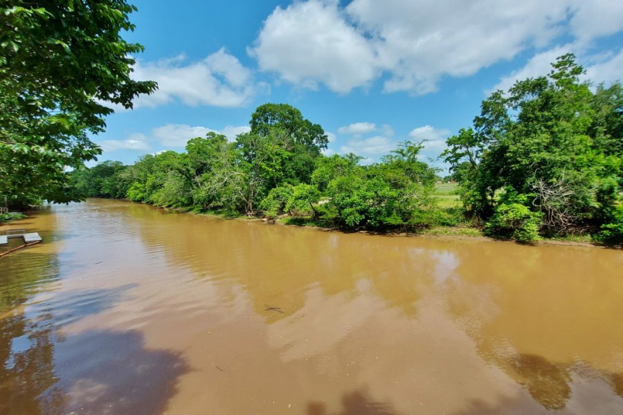 Bayou Vermilion à Lafayette. Valérie FORTIER