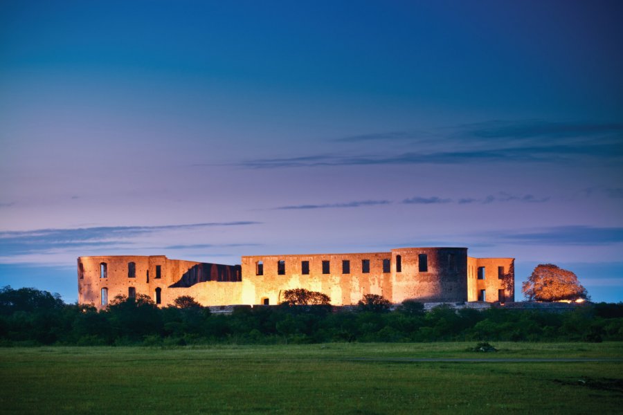 Le château de Borgholm. ferrantraite - iStockphoto.com