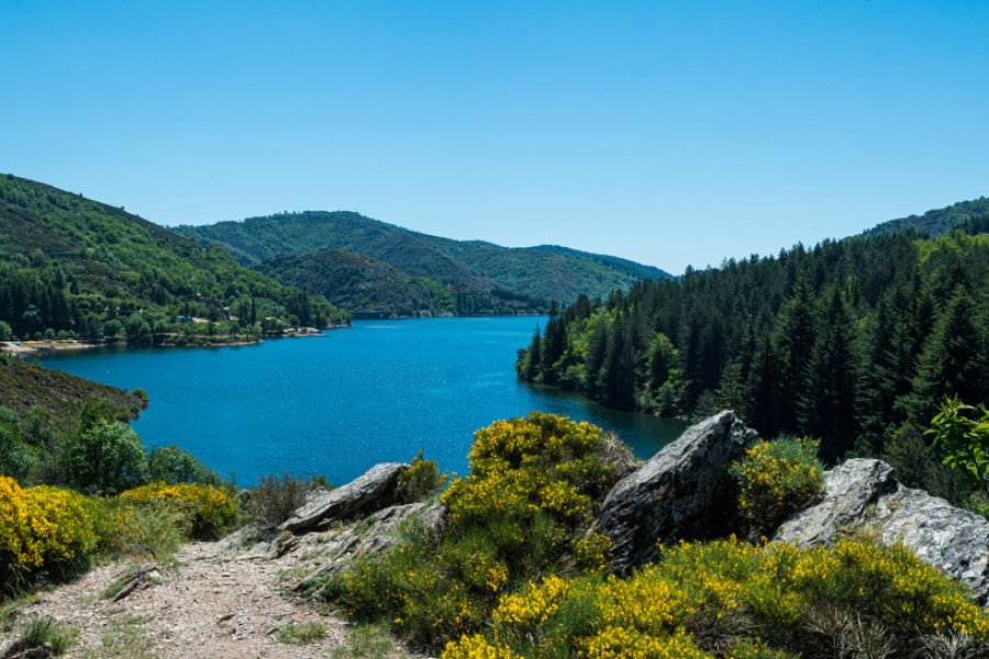 Lac de Villefort. Yadelair - stock.adobe.com