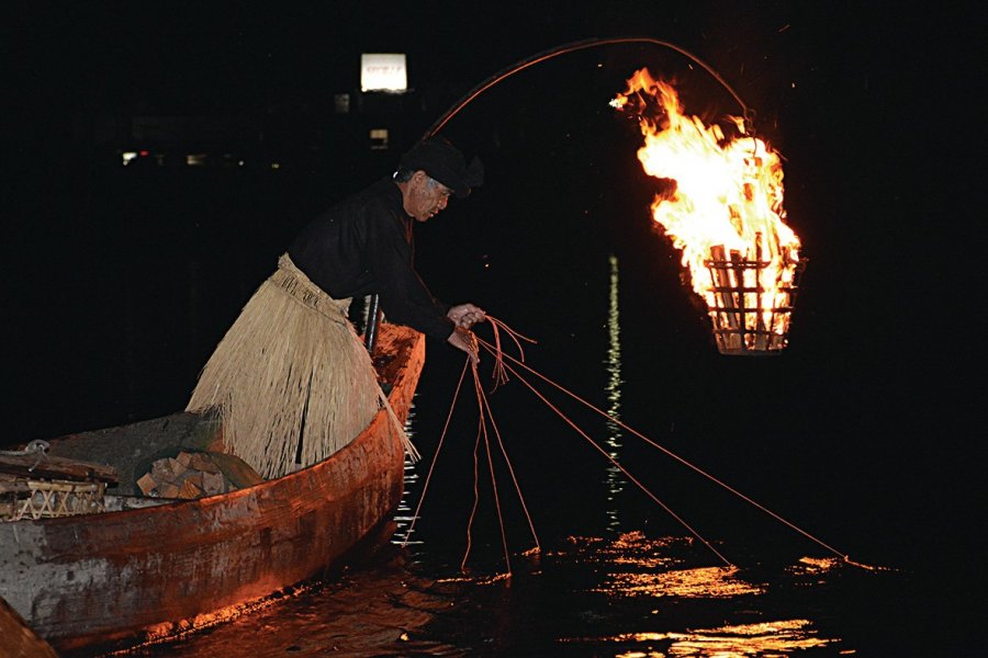 Pêche aux cormorans à Iwakuni. Maxime Dray