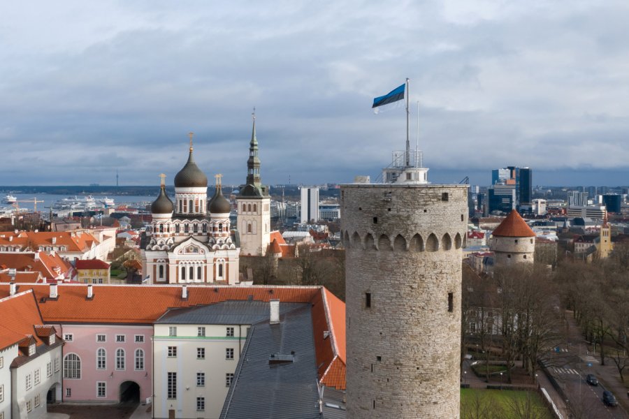 Drapeau estonien sur la tour de Tall Hermann. Stanislav Samoylik - Shutterstock.com
