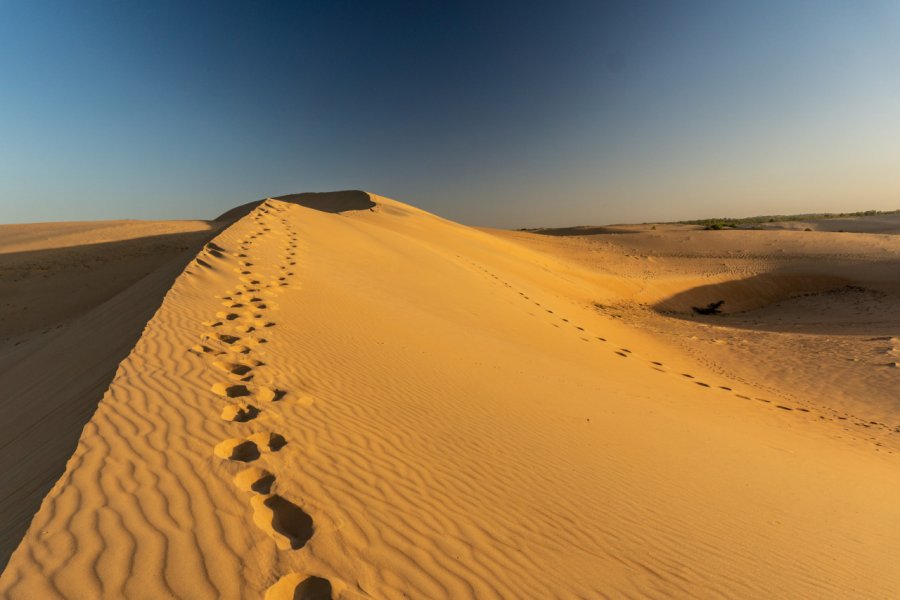 Désert de Lompoul. gyikka - Shutterstock.com