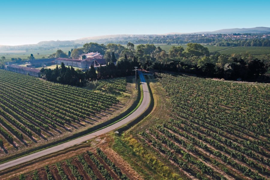 Domaine Auzias (Arrivée depuis Pennautier). Dominique Auzias