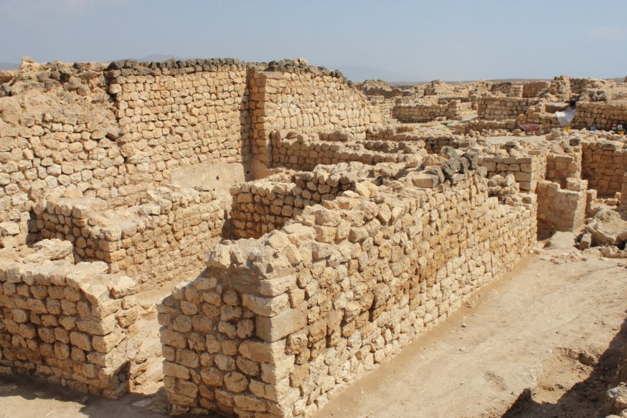 Site archéologique de Khor Rori. Cathyline DAIRIN