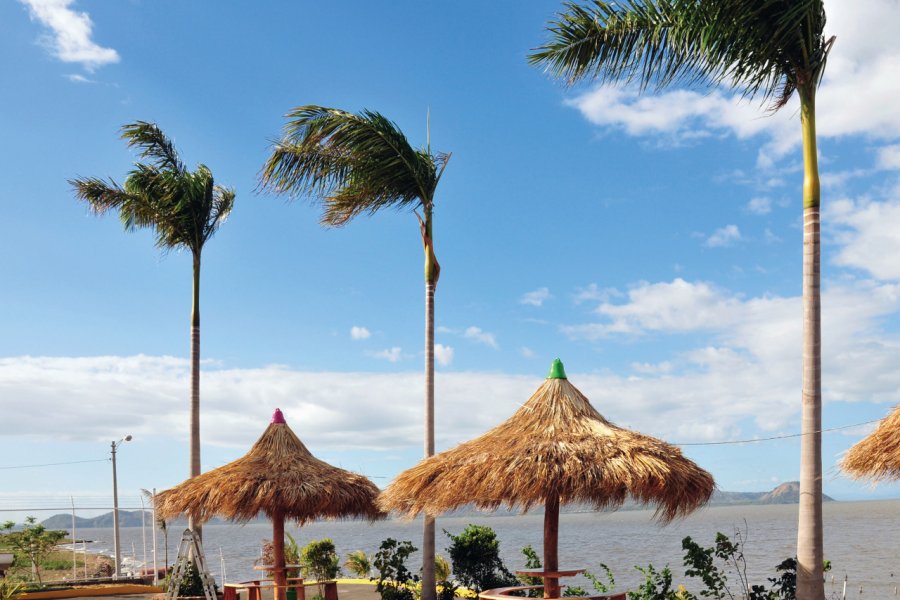Cocotiers et tables de picnic au bord du Lac de Managua. Mtcurado - iStockphoto