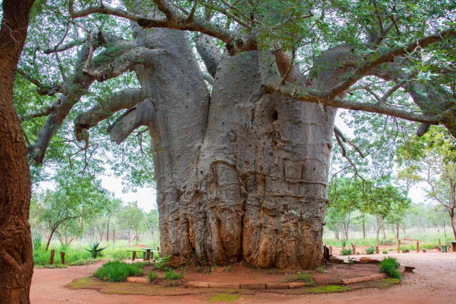 Leydsdorp. travelfoto - Shutterstock.com