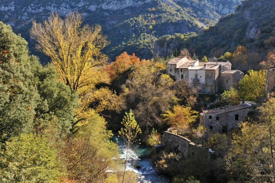 Village cévenol Cynoclub - Fotolia