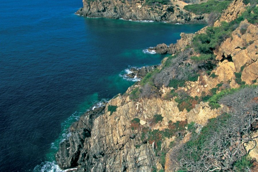 Falaises de l'île de Porquerolles (© BDLM - Iconotec))