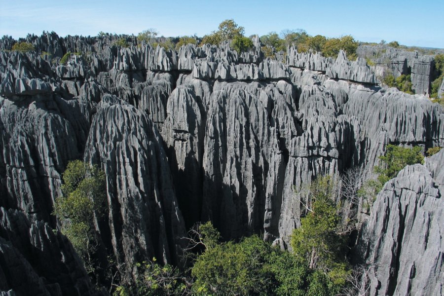 Tsingy De Bemaraha