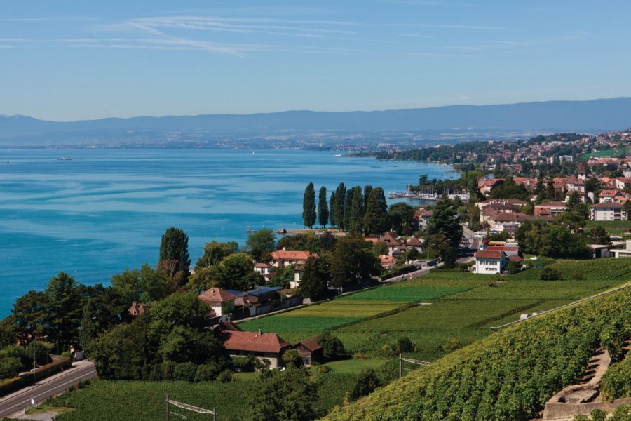 Les villages de Lutry et Pully. Philippe GUERSAN - Author's Image