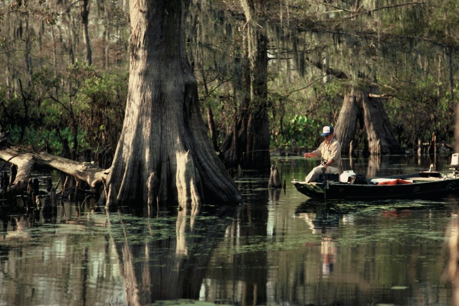 Pêcheur dans un bayou. HRobert - iStockphoto.com