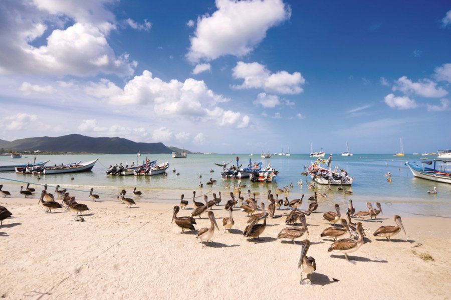 Baie de Juan Griego. apomares - iStockphoto.com