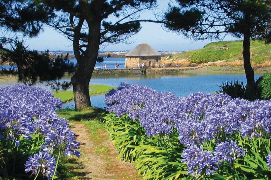 Le moulin à marée du Birlot. Mathieu JACOB - Fotolia