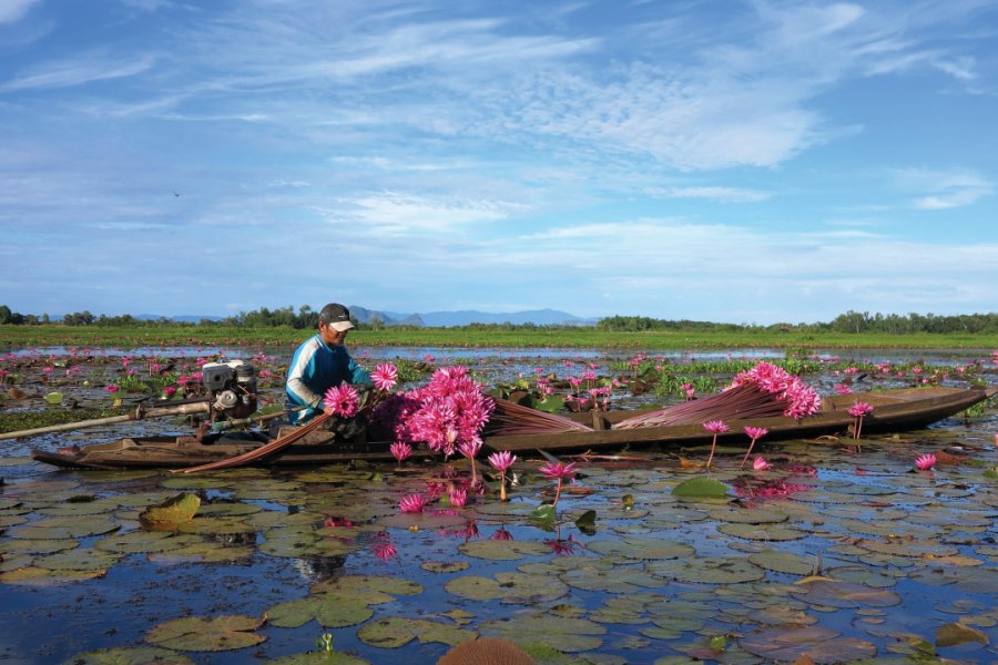 Ramasseurs de nénuphars sur le lac d'eau douce de Thale Noi. Grégory ANDRE