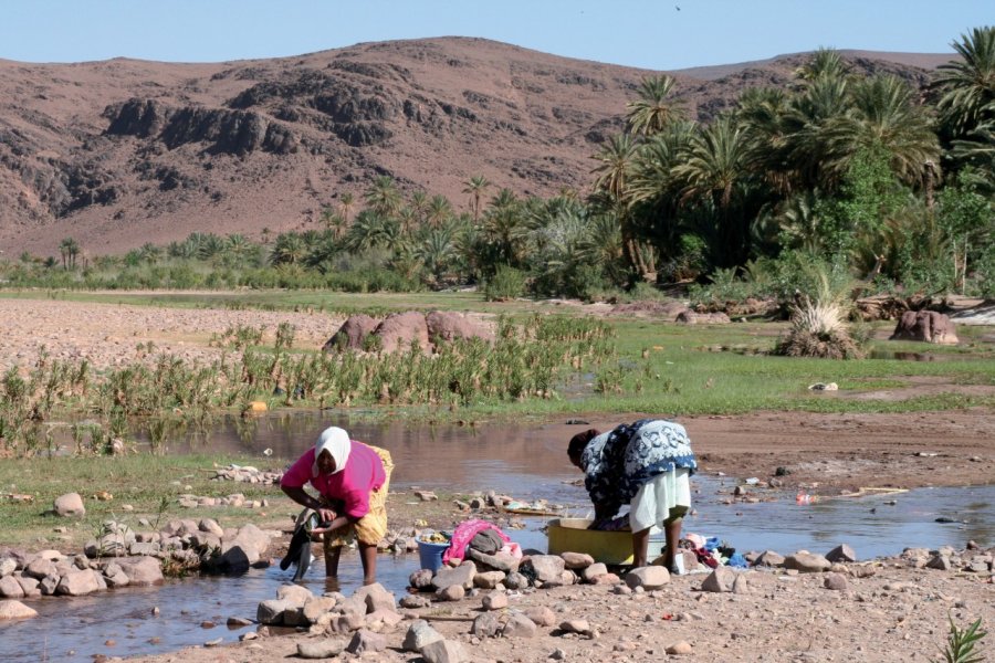 Oasis de Fint. Stéphan SZEREMETA