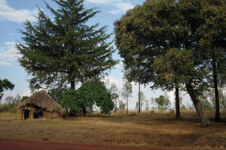 Paysage près de la Ruvubu. Julia GASQUET