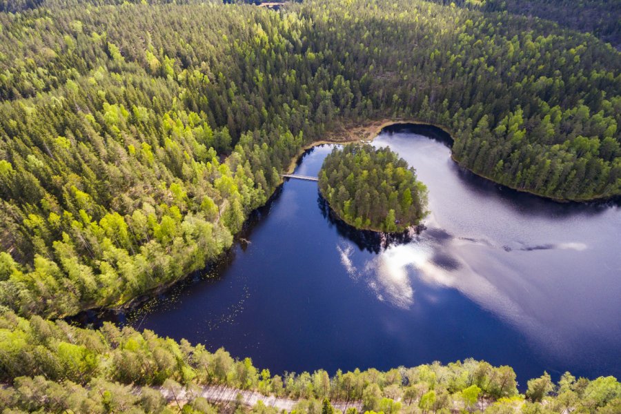 Paysage de Nuuksio. Tero Sivula - Shutterstock.com