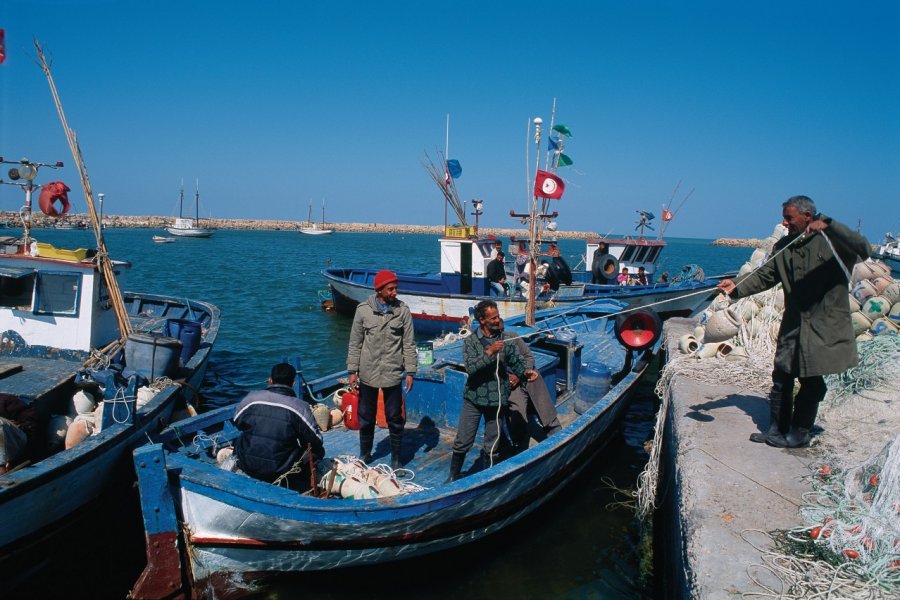 Pêche de poulpes à la gargoulette (amphores), dans le port de Houmt Souk. Author's Image