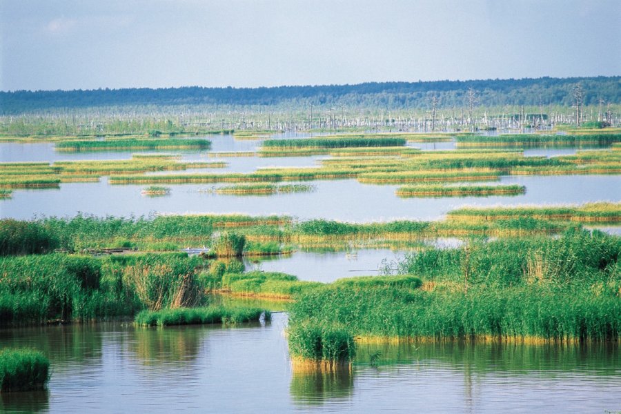 Canal Volga - Baltique. S.Nicolas - Iconotec