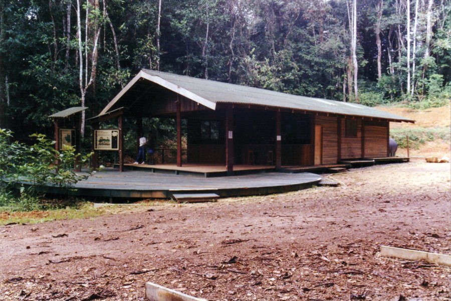 Le parc d'Ankasa se trouve à seulement 10 km de la frontière ivoirienne. Ghana Tourist Board