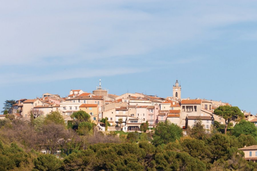 Vue générale de Mougins Lawrence Banahan - Author's Image