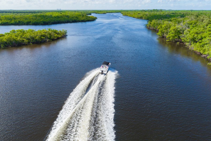 Parc national des Everglades. Owen - stock.adobe.com