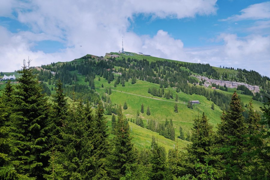 Mont Rigi Noah Sauve - Shutterstock.com