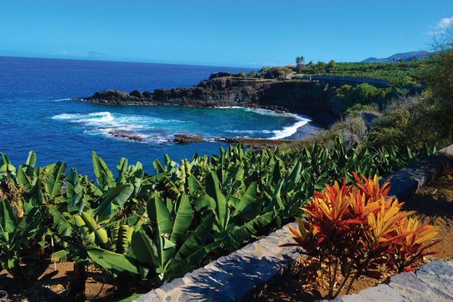 Sur la côte Est, bananeraies, roches et océan, du côté de Charco Azul. Carine KREB