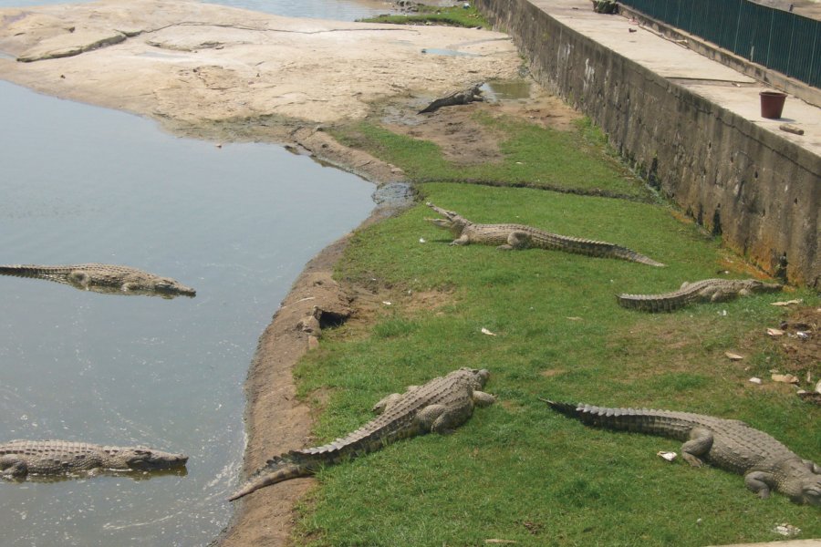 Lac aux crocodiles près du palais présidentiel. Jean-Paul LABOURDETTE