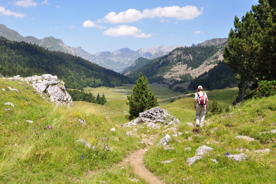 Vallée d'Ossau. phgo55   - stock.adobe.com